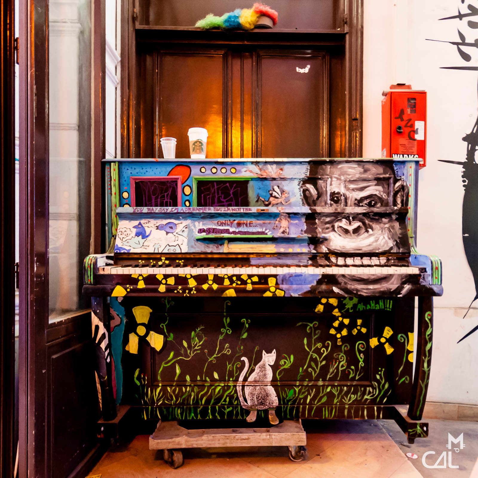 Le 59 Rivoli | Mon chat aime la photo