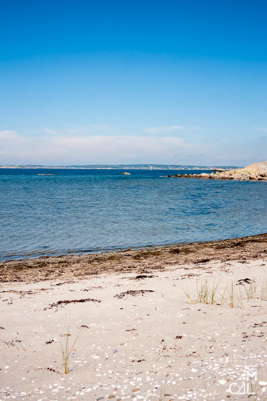 br-nn-plage-d-serte-mon-chat-aime-la-photo