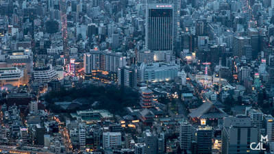Tokyo Skytree Zoom Sur Asakusa Et Son Sanctuaire Mon Chat Aime La Photo tokyo-skytree-zoom-sur-asakusa-et-son-sanctuaire-mon-chat-aime-la-photo