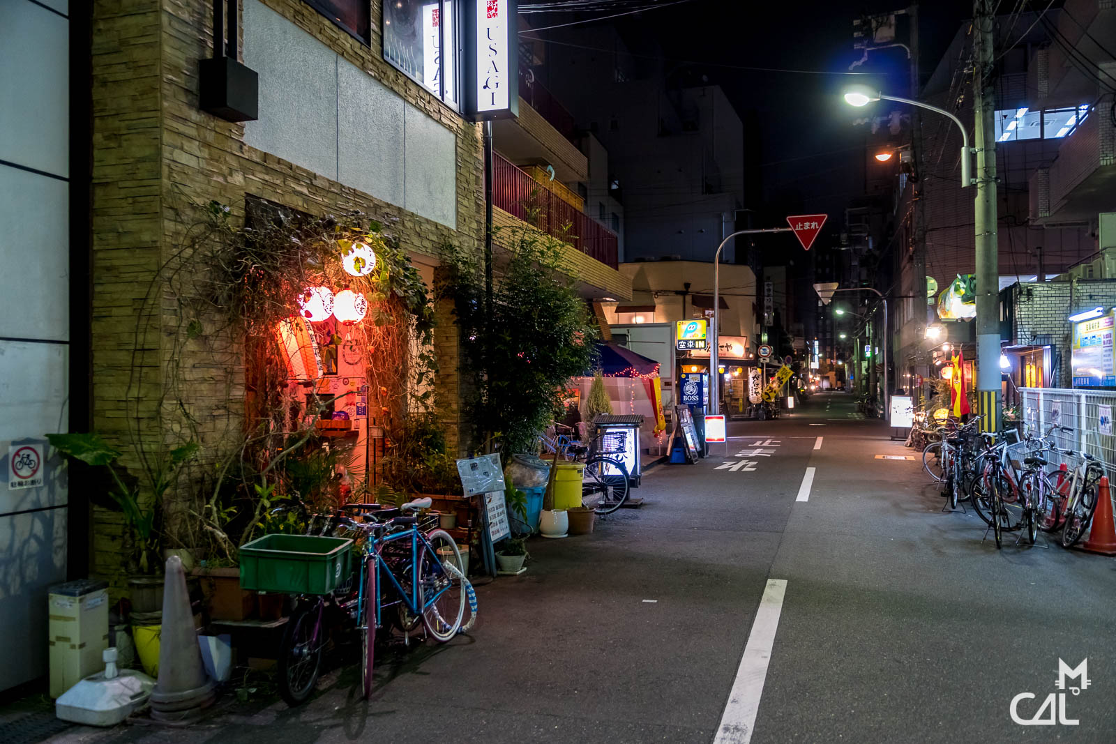 soir-e-osaka-rue-de-shinmachi-mon-chat-aime-la-photo